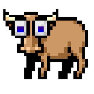 Bruce with huge scared eyes, about to bolt